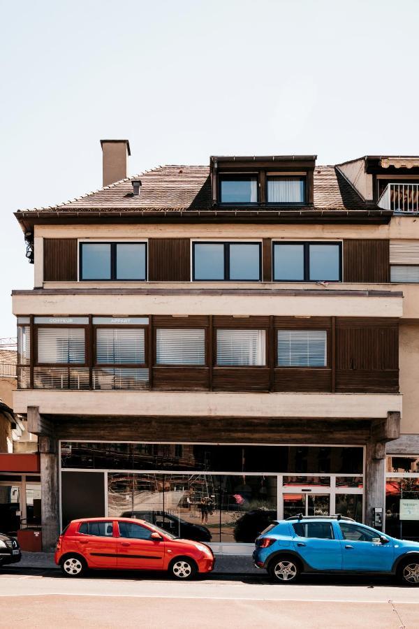 Le 19 Kleber Climatise Apartment Colmar Bagian luar foto