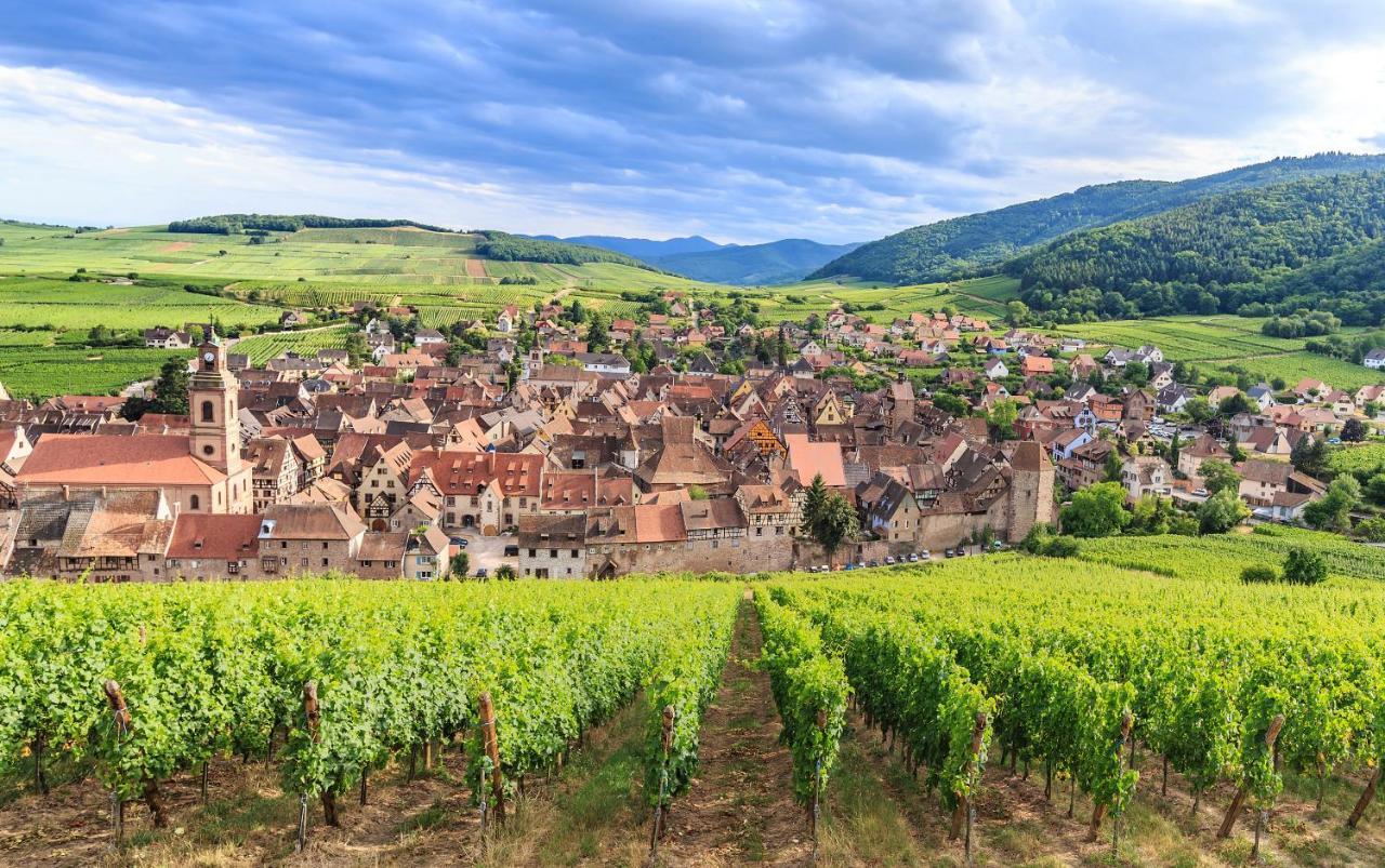 Le 19 Kleber Climatise Apartment Colmar Bagian luar foto
